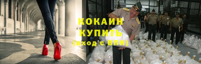 кракен онион  купить наркотик  Краснослободск  Cocaine Fish Scale 